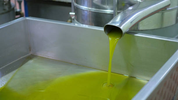 istock Oil production in a Tuscan mill 870867378