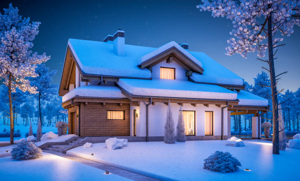 3d rendering of modern cozy house in chalet style