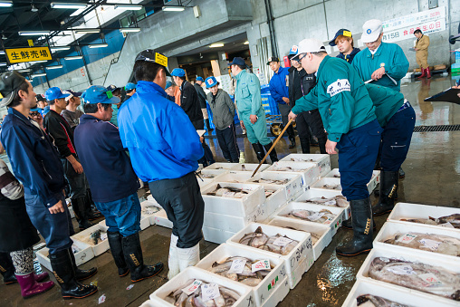 Fish auction on Hakkodate Fish market. Men surrounding boxes with fish. On each box is box number and weight of fish and they are bidding for the price. In background are some information boards using Japanese characters.