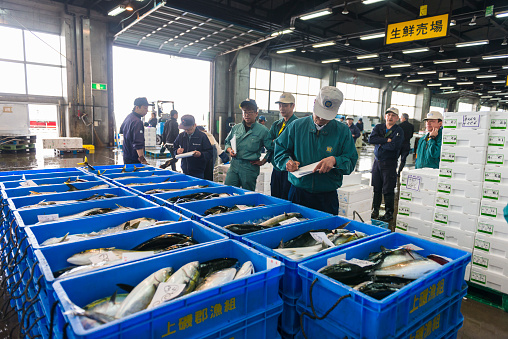 Fish auction on Hakkodate Fish market. Men surrounding boxes with fish. On each box is box number and weight of fish and they are bidding for the price. In background are some information boards using Japanese characters.