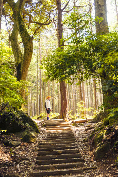 istock Hiking on Shirakumobashi trail 870874218