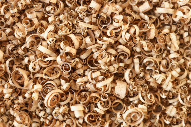 wooden shavings background pattern textur. top view. close up - shavings imagens e fotografias de stock