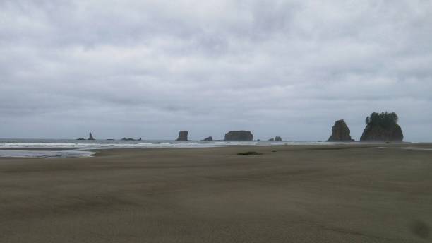 istock Kalaloch, Ruby Beach Rock Formations, Olympic National Park, Washington 870883872