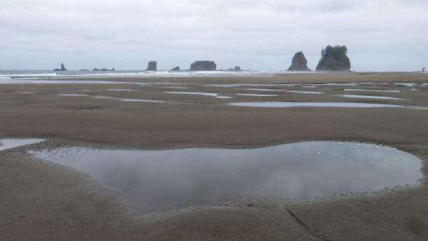 istock Kalaloch, Ruby Beach Tide Pools, Olympic National Park, Washington 870883924