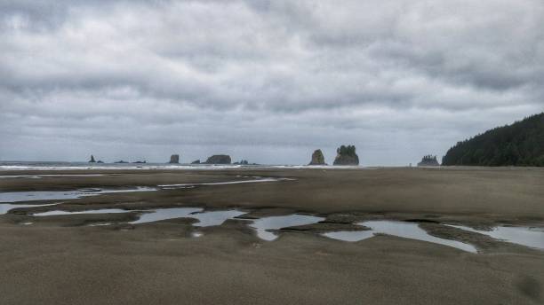 Kalaloch, Ruby Beach Tide Pools, Olympic National Park, Washington