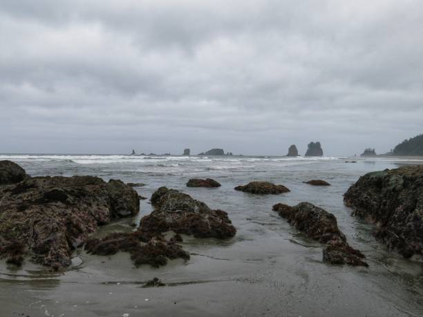 istock Ruby Beach Low Tide, Overcast, Olympic National Park, Washington 870887104