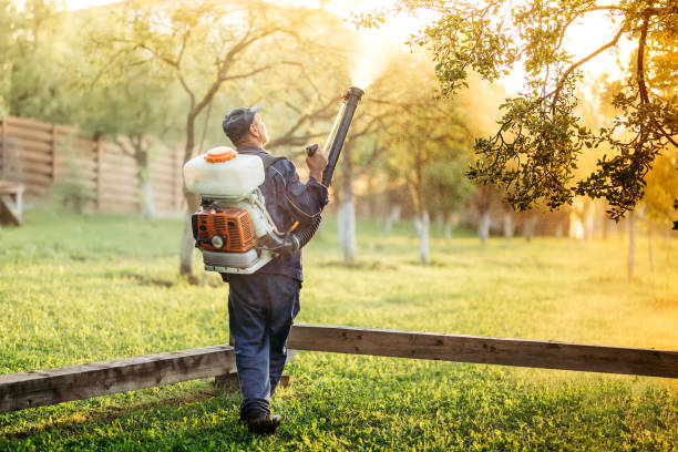 работник, использующий опрыскиватель для распределения органических пестицидов в фрукто�вом саду - exterminator pest control equipment insecticide manual worker стоковые фото и изображения