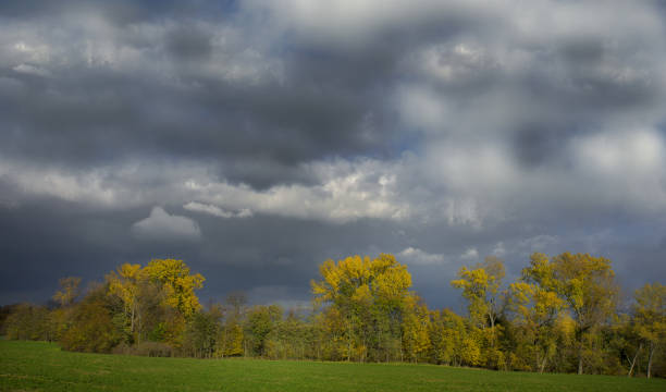 istock Stormy dark clouds over the trees and field. The fall scene 870890724