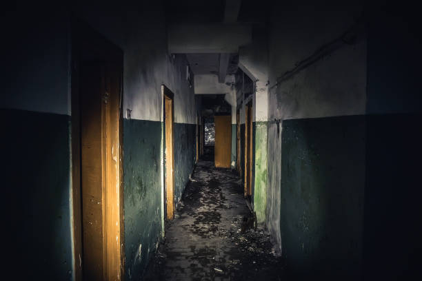 istock Walkway in creepy abandoned building, dark scary corridor with many doors, horror background concept 870891238