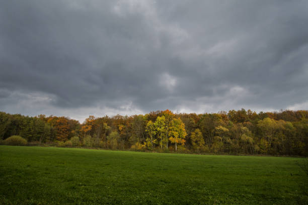 istock Stormy dark clouds over the trees and field. The fall scene 870891538
