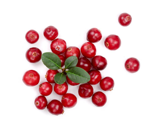 istock Cranberry with leaf isolated on white background closeup top view 870894806