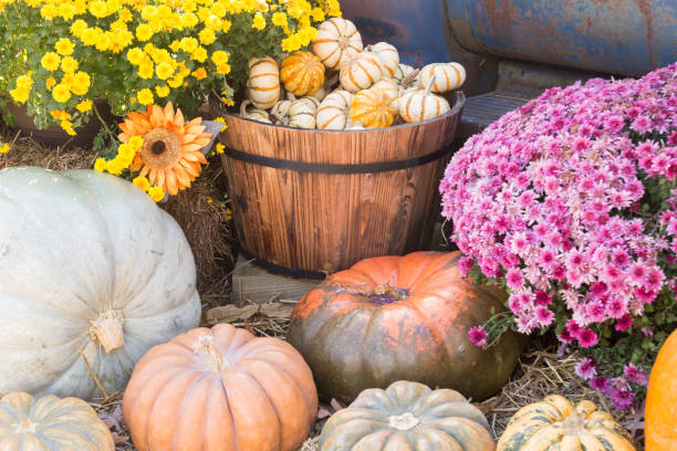 istock sunflower pumpkin gourd straw bucket 870897286