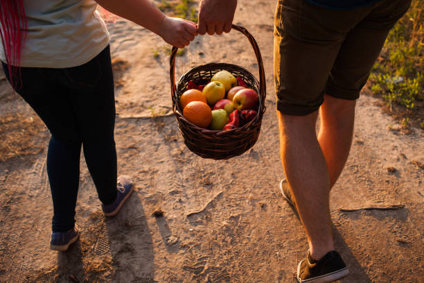 istock Couple walk informal meadow picnic love concept. 870898742
