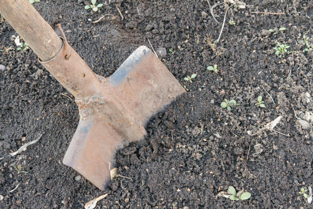 istock Old rusty hand shovel on the ground 870901974