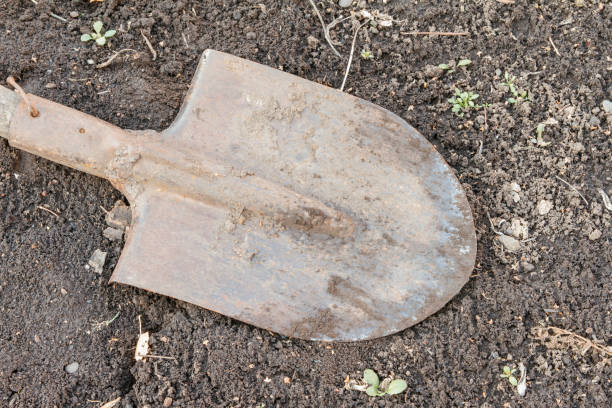 istock Old rusty hand shovel on the ground 870902680