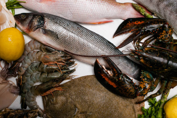 istock Delicious restaurant seafood assortment concept 870909978