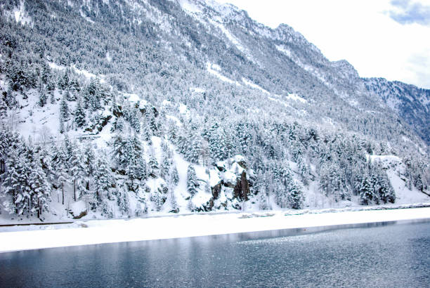 istock Snow landscape in winter 870913342