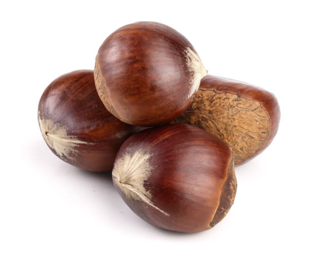 istock sweet chestnut isolated on white background 870918890