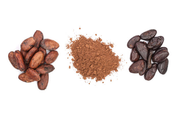 istock cocoa bean and cocoa powder isolated on white background top view 870921992