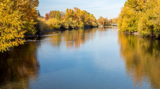 istock View of the Boise River in fall with yellow trees lining 870923262