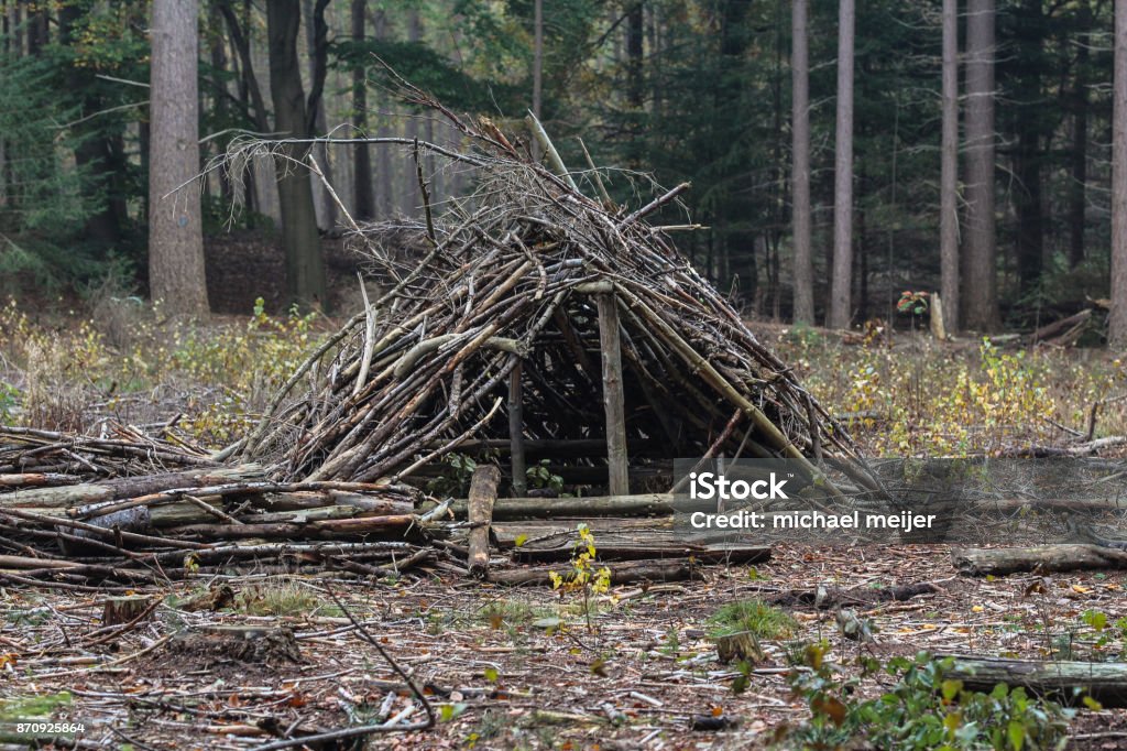 survival shelter in forest overview of survival shelter in forest Forest Stock Photo