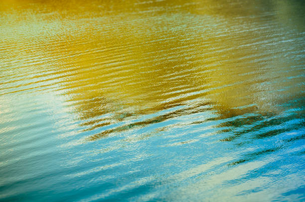 istock Autumn colorful forest lake mirror reflection texture 870926382