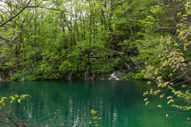 istock Watefalls, Plitvice Lakes National Park, Croatia 870926942