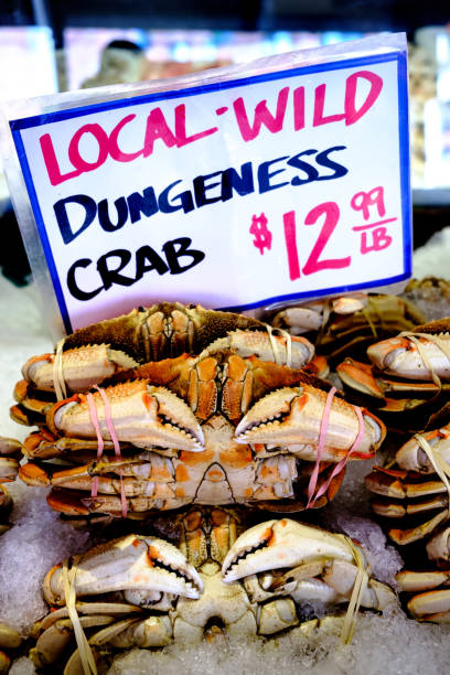 20+ Dungeness Crab For Sale Stock Photos, Pictures & Royalty-Free