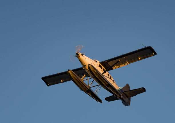 istock Sea Plane over Vancouver 870937434