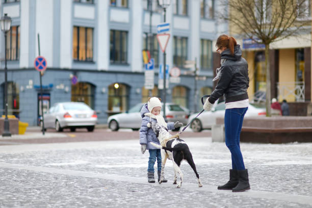 istock A girl met a dog 870940956