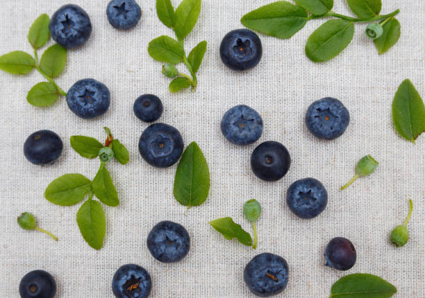 Fresh blueberries on linen background stock photo