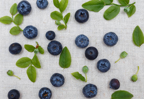 Fresh blueberries on linen background stock photo