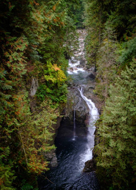 istock Lynn Creek, Vancouver 870945044