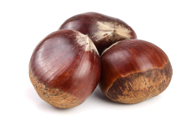istock fresh edible chestnut isolated on white background 870947768