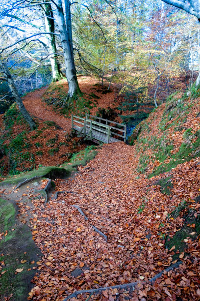The Blue Door Walk, Edzell, Angus Scotland in Autumn / Fall