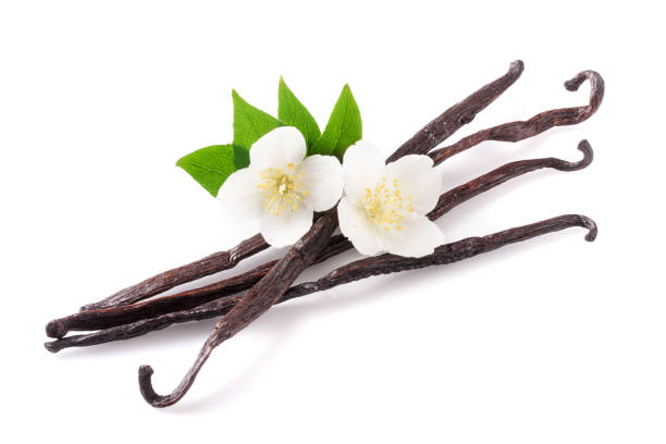 istock Vanilla sticks with flower and leaf isolated on white background 870948594