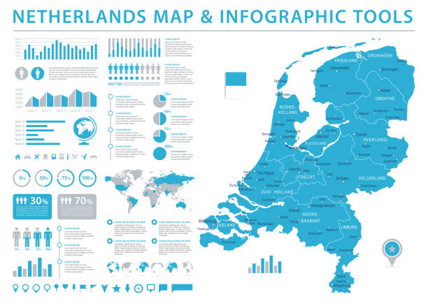 mapa holandii - info grafika wektor ilustracja - netherlands map cartography silhouette stock illustrations