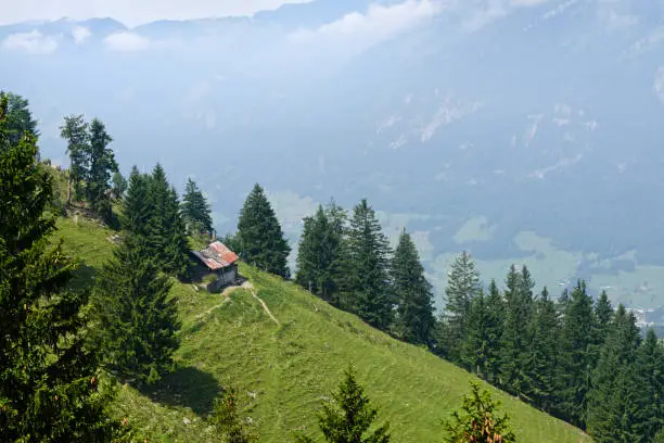Foggy background of Swiss Alps to a green hillside slope nearby