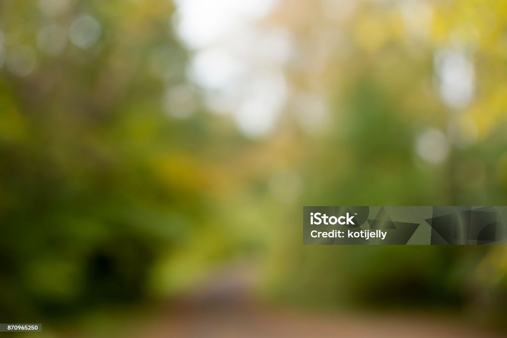 Fall forest colors blurred background Forest blurred background and a small road Defocused Stock Photo