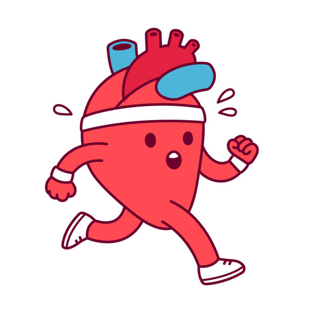 Cartoon heart exercising Cartoon healthy heart exercising, vector illustration. Cute heart character in sweatband and running shoes jogging and sweating. sweat band stock illustrations