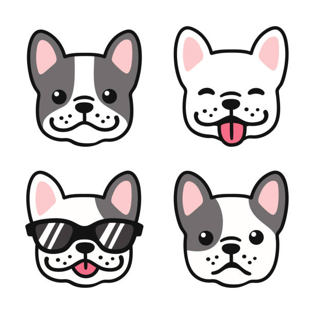 ilustrações, clipart, desenhos animados e ícones de conjunto de cara de bulldog francês - animal tongue illustrations