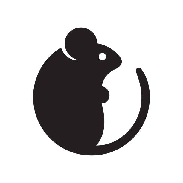 illustrazioni stock, clip art, cartoni animati e icone di tendenza di icona semplice del mouse dei cartoni animati - ratto