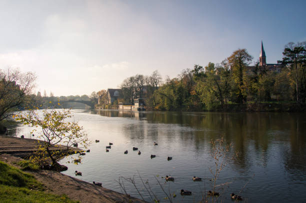 идиллический вид на галле (saale), германия, в день осенью - forest of halle стоковые фото и изображения