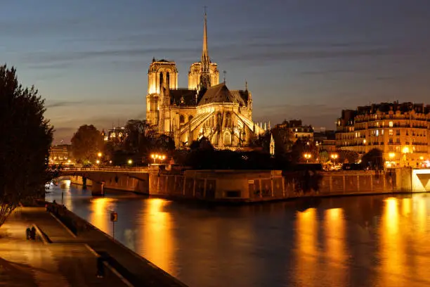 Photo of Notre dame de Paris from behind by night