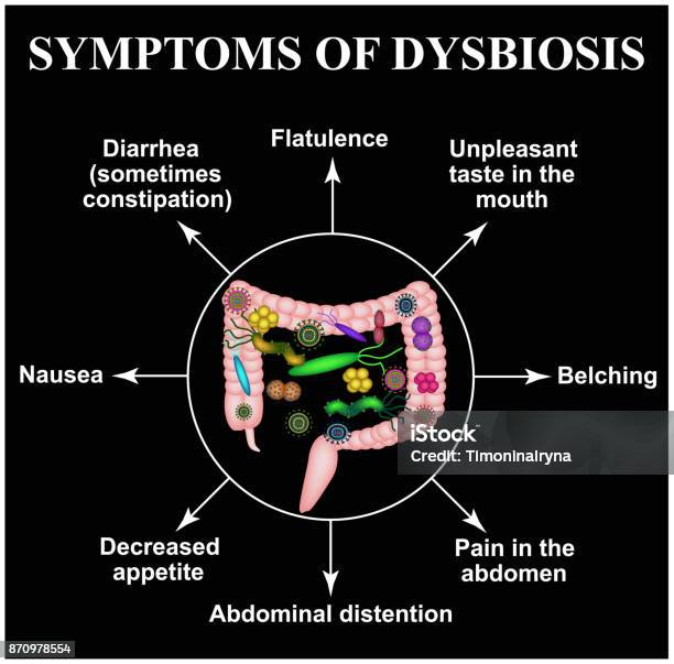Symptome Einer Dysbiose Dysbakteriose Des Darms Den Dickdarm Dysbiose
