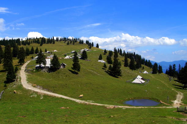 istock Traditional mountain houses 870982616
