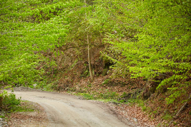 Gravel road going through a mountain pass in the spring