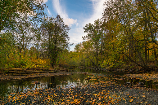 Autumn Along The Ramapo River, New Jersey