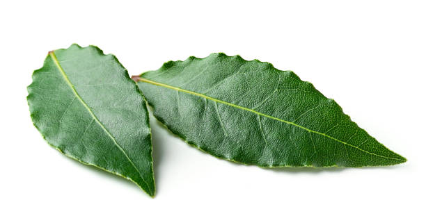 istock Bay leaves isolated on white 870989034