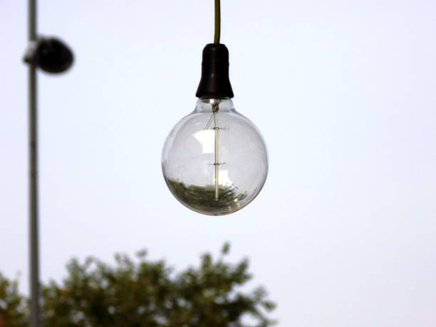 istock Vintage lighting bulbs hanging on the cable 870989580